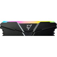 Netac Shadow RGB 8ГБ DDR4 3200 МГц NTSRD4P32SP-08E