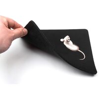 Dialog PM-H15 Mouse Image #4